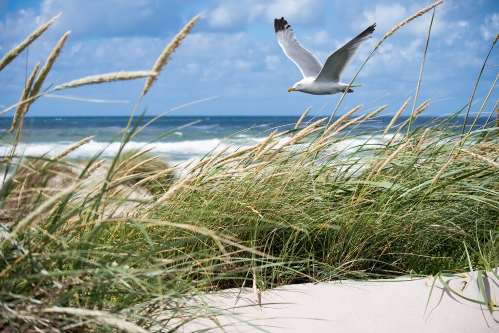 Scheveningen strand